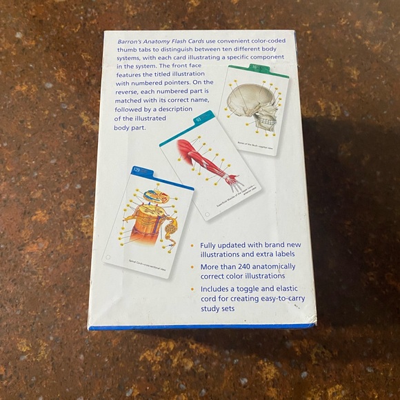 Barron’s Anatomy Flash Cards - 264 Full-Color Medical Study Cards, 2nd Edition - Picture 6 of 8